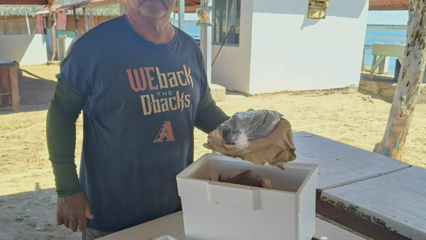 Impulsan el desarrollo acuícola con entrega de semillas de ostión en Bahía de Kino